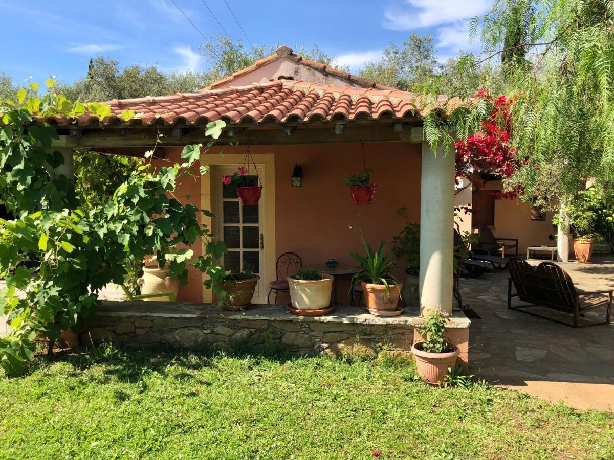 Domaine Le Clos Des Oliviers Sorbo-Ocagnano Экстерьер фото