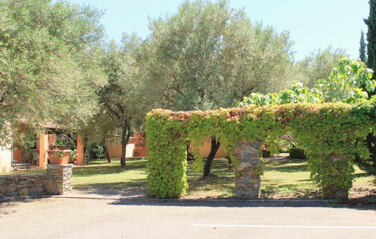 Domaine Le Clos Des Oliviers Sorbo-Ocagnano Экстерьер фото