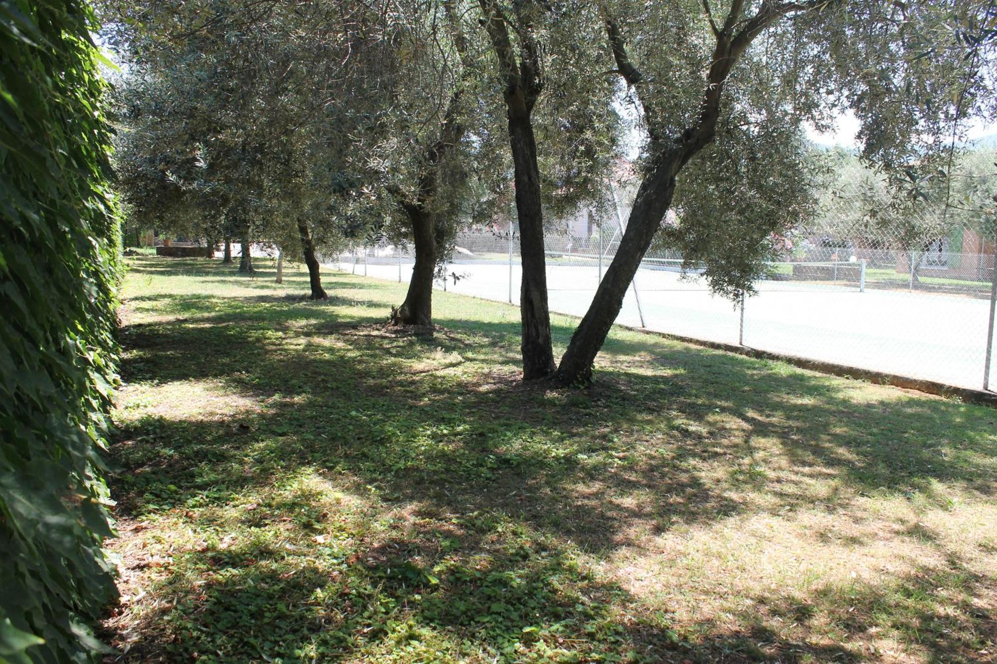 Domaine Le Clos Des Oliviers Sorbo-Ocagnano Номер фото