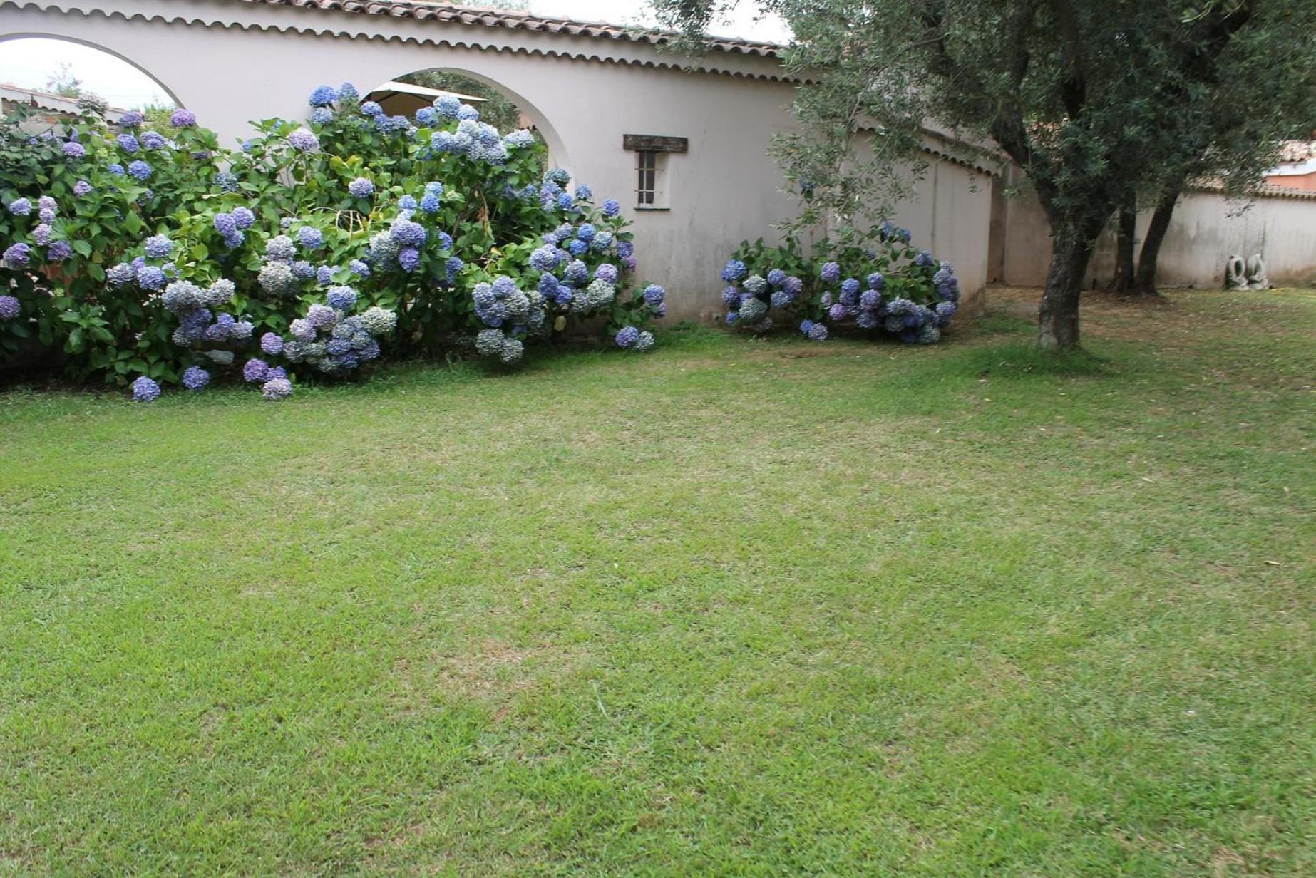 Domaine Le Clos Des Oliviers Sorbo-Ocagnano Экстерьер фото