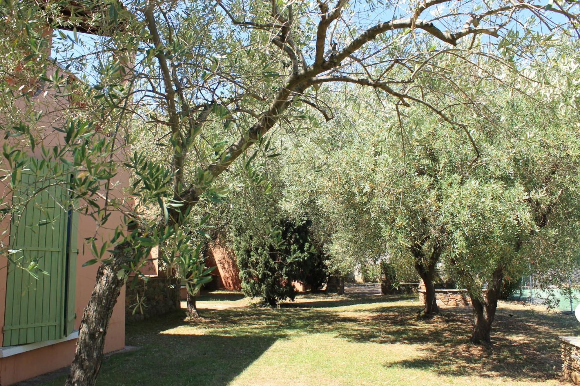 Domaine Le Clos Des Oliviers Sorbo-Ocagnano Экстерьер фото