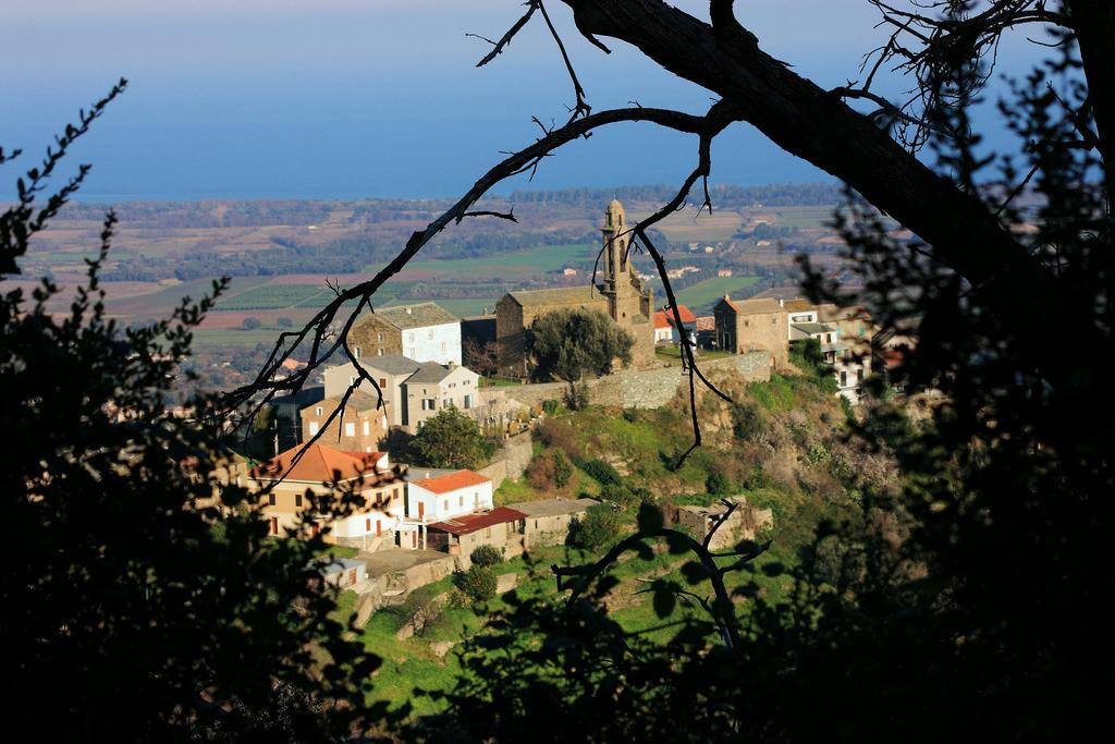 Domaine Le Clos Des Oliviers Sorbo-Ocagnano Экстерьер фото