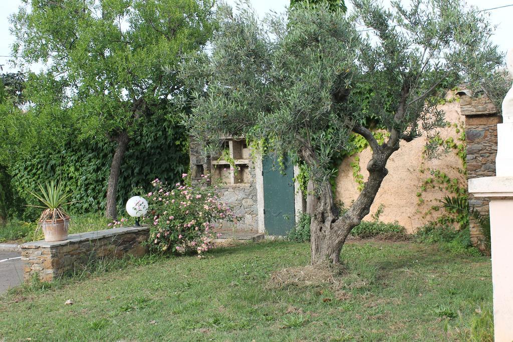 Domaine Le Clos Des Oliviers Sorbo-Ocagnano Экстерьер фото